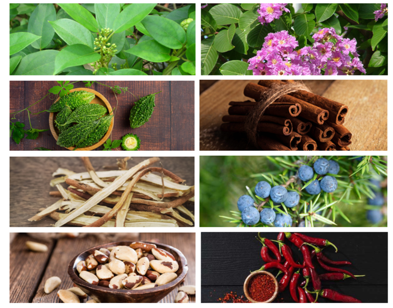 GlucoSwitch ingredients