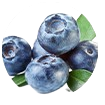 Blueberry Extract