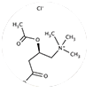 N-Acetyl L-Carnitine
