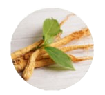 Panax -Ginseng