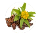 Rhodiola Rosea Extract